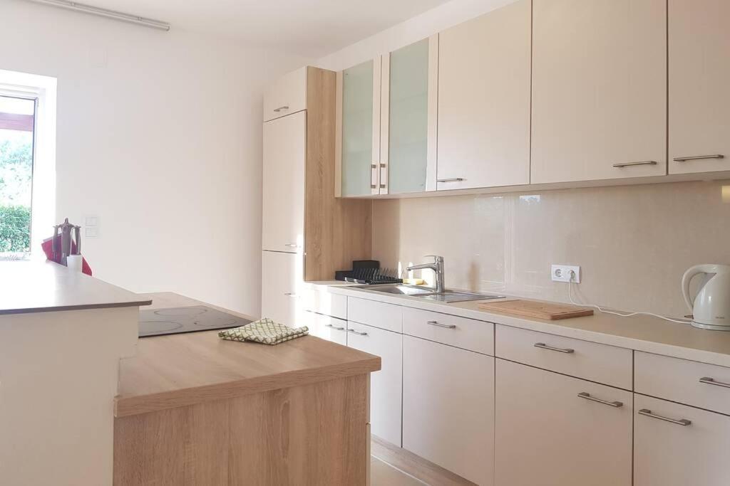 Buscina,duplex House With Garden Apartment Umag